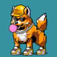 DogePunks #4763