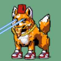 DogePunks #3428