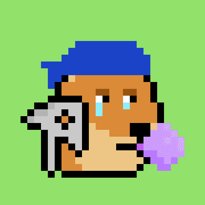 Dogepunk #1584