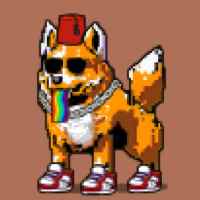 DogePunks #809