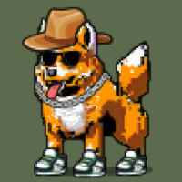 DogePunks #505