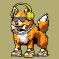 DogePunks #1276