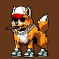 DogePunks #409