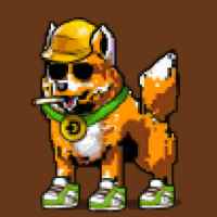 DogePunks #1185