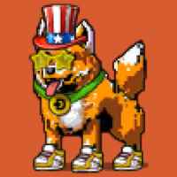 DogePunks #1696