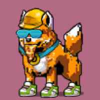 DogePunks #1579
