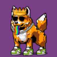 DogePunks #3791