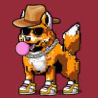DogePunks #557