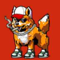 DogePunks #2932