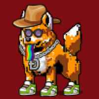 DogePunks #309
