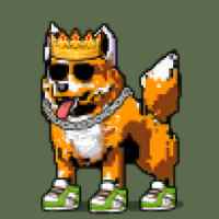 DogePunks #953