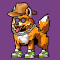 DogePunks #1005