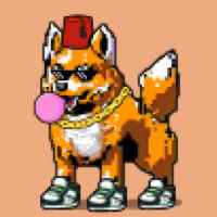 DogePunks #2888