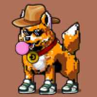 DogePunks #2039