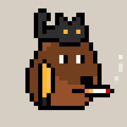 Dogepunk #4903