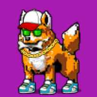 DogePunks #2973
