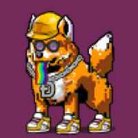 DogePunks #2352