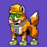 DogePunks #1578