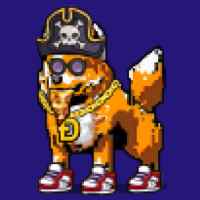 DogePunks #4572