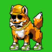 DogePunks #2127