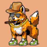 DogePunks #535