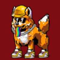 DogePunks #478