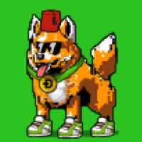 DogePunks #4637