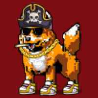 DogePunks #2942