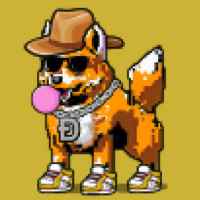 DogePunks #4497
