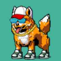 DogePunks #4024