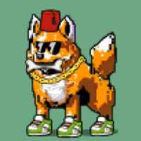 DogePunks #4611