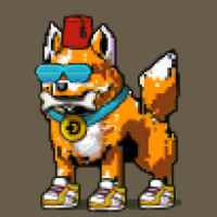 DogePunks #2354