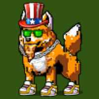 DogePunks #4888