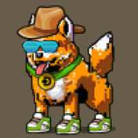 DogePunks #3333