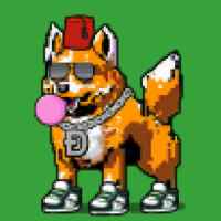 DogePunks #226