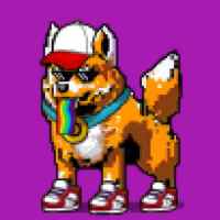 DogePunks #1809