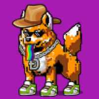 DogePunks #4219