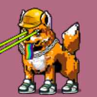 DogePunks #1134