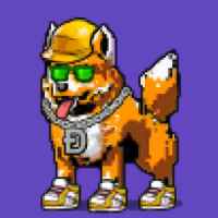 DogePunks #3819