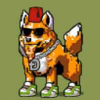 DogePunks #1194