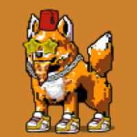 DogePunks #1129