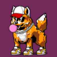DogePunks #1227