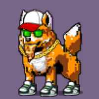 DogePunks #1507