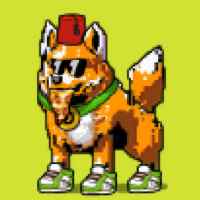 DogePunks #2437