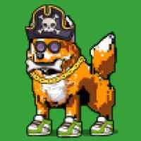 DogePunks #2795