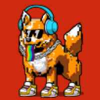 DogePunks #913