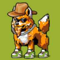 DogePunks #4119