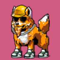 DogePunks #1698