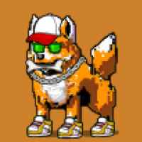 DogePunks #1359