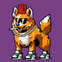 DogePunks #3499